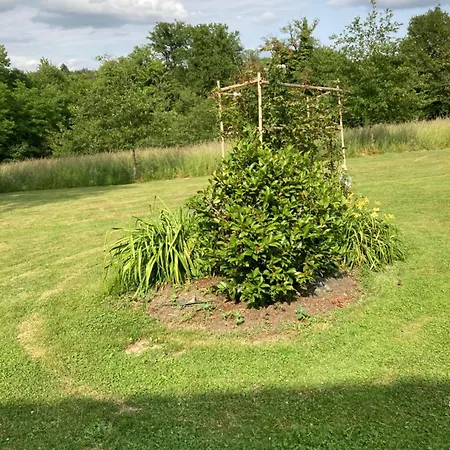 Graffeuil بيت للعطل Busserolles